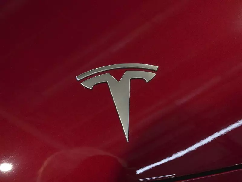 Calgary man charged with arson for allegedly setting two Tesla vehicles on fire