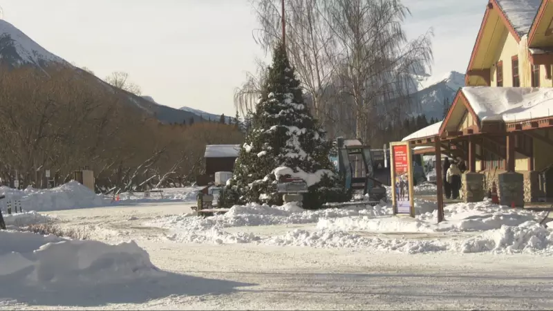 Calgary Police Seek Witnesses to Attempted Kidnapping at Banff Christmas Market