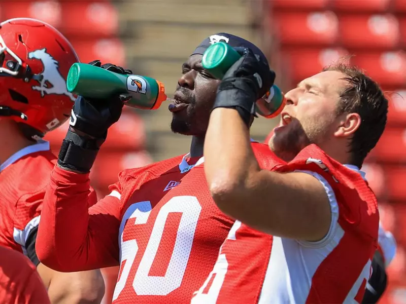 Calgary Stampeders GM Dave Dickenson Faces Busy Off-Season with 28 Free Agents