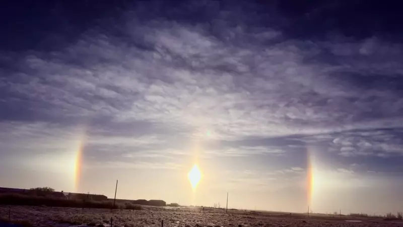 Calgary's Mild Weather Continues: Mild Days Ahead After Warm Monday