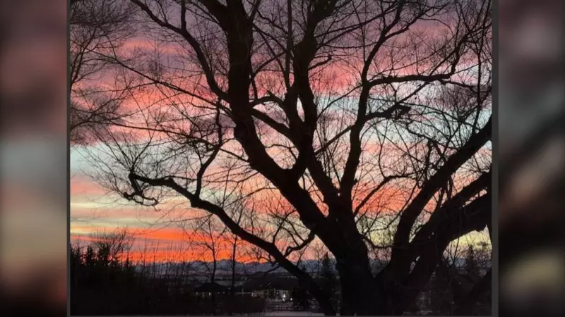 Calgary's Warm Year-End Gives Way to Colder Start for 2026