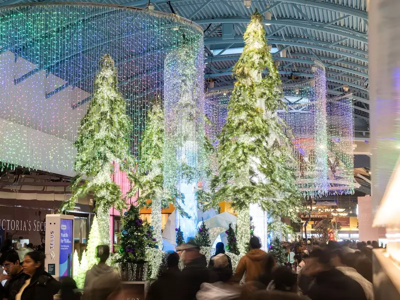 Calgary's Weekend in Focus: Boxing Day Crowds, Deep Freeze, and Hockey Action