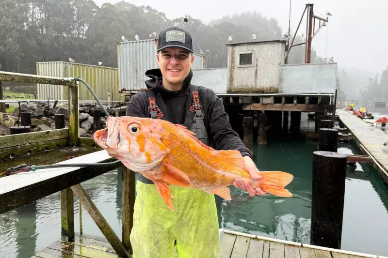 California Angler Lands Potential Record 10.25-Pound Canary Rockfish