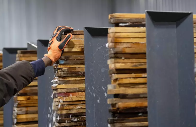 Canada Adds 54,000 Jobs in November, Unemployment Rate Falls to 6.5%