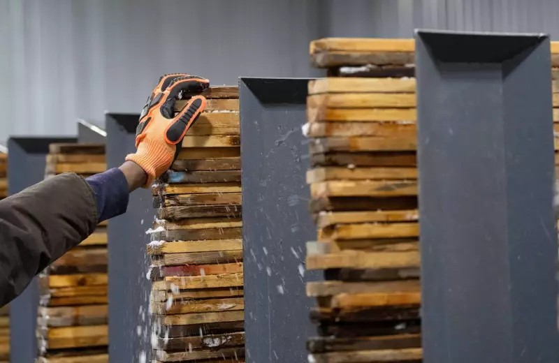 Canada Awaits November Jobs Data Ahead of Key Bank of Canada Decision