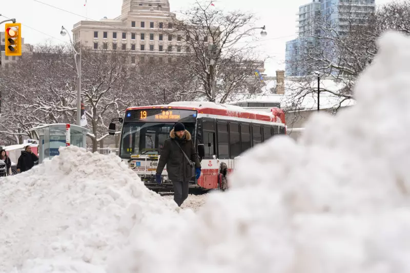 Canada Braces for a Widespread 'White Christmas' in 2025, Almanac Predicts