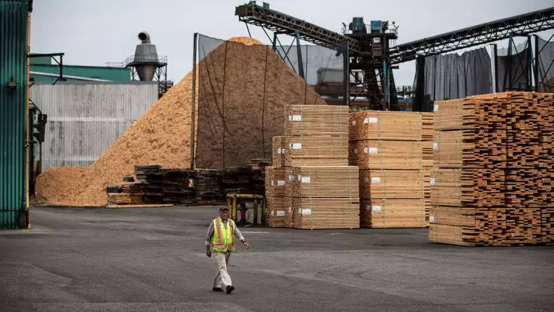 Canada Launches Forestry Task Force to Support Lumber Sector