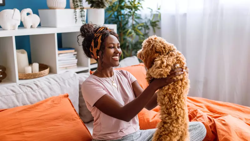 Canadian Pet Owners Rave About Ultrasonic Anti-Bark Device on Sale for $28.49