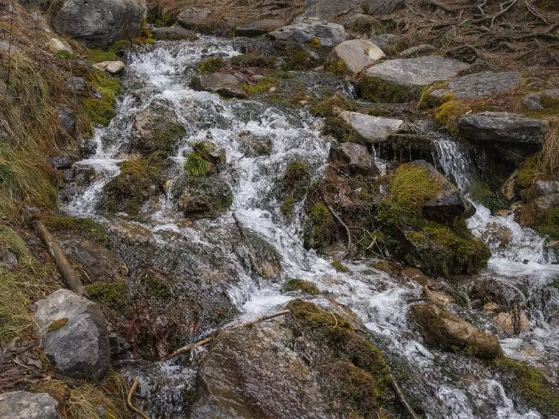 Chinook's Warm Breath Reveals Winter's Hidden Palette in Alberta Foothills