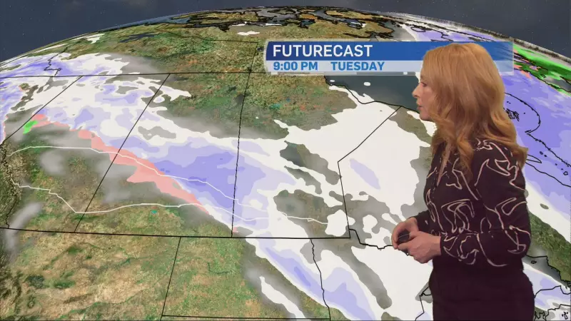 Colleen Bready's Winnipeg Forecast: Mild Temperatures Across Manitoba for Dec. 30