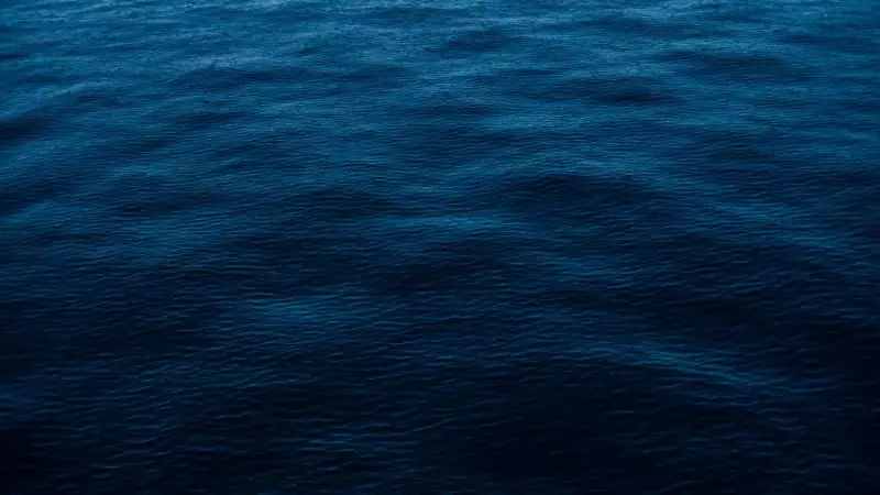 Deep-Sea Discovery: New Species Found, But Plastic Pollution Got There First