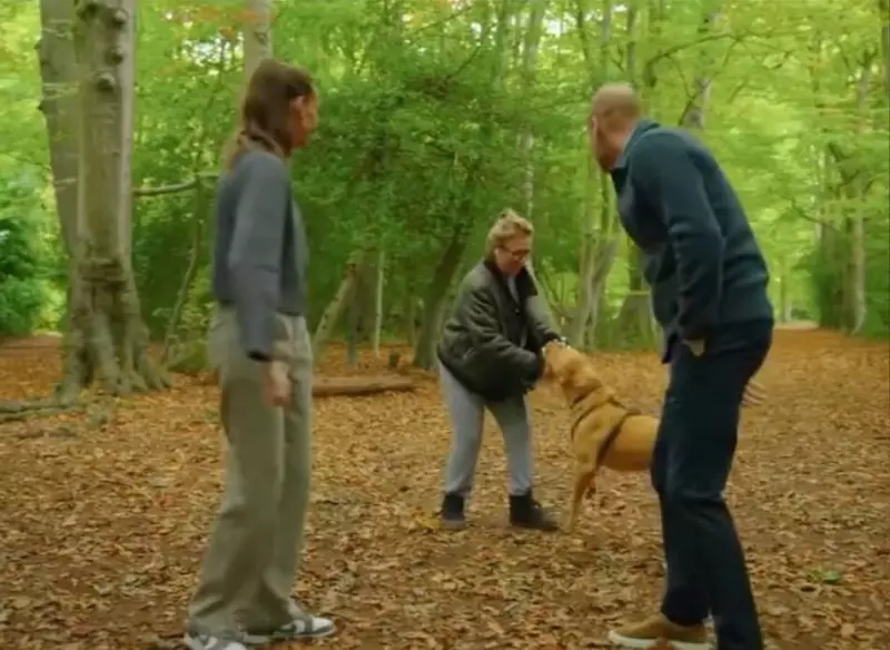 Dog Walker's Viral Reaction to Prince William Encounter Captures Hearts