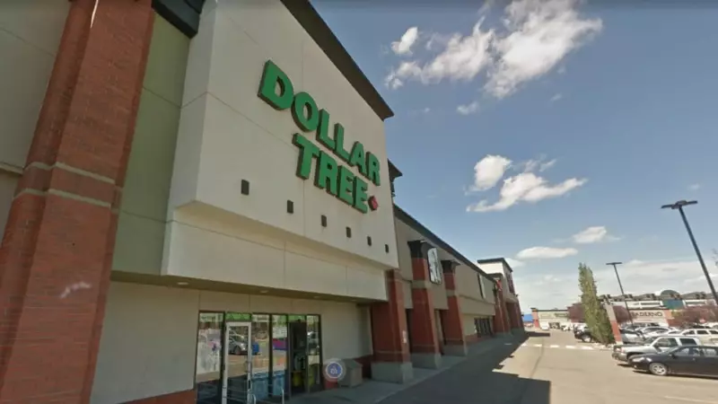Dollar Tree Raises Annual Profit Forecast Amid Strong Demand for Budget Goods