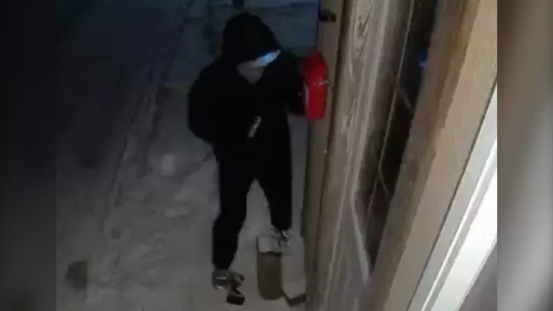 Donation Box Stolen from Owen Sound's Festival of Northern Lights, Police Probe