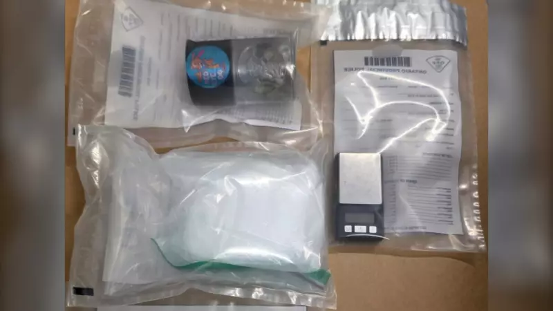 Drug Bust on Hwy. 11: OPP Seize Cocaine, Oxycodone After Speeding Stop