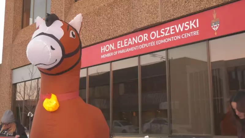 Edmonton Advocates Urge Alberta MP to Halt Horse Export for Slaughter