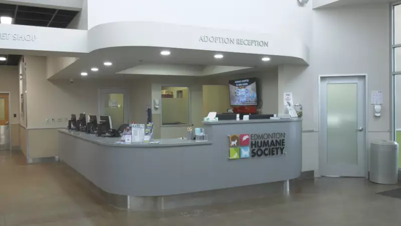 Edmonton Humane Society Becomes First Western Canadian Shelter with National Accreditation