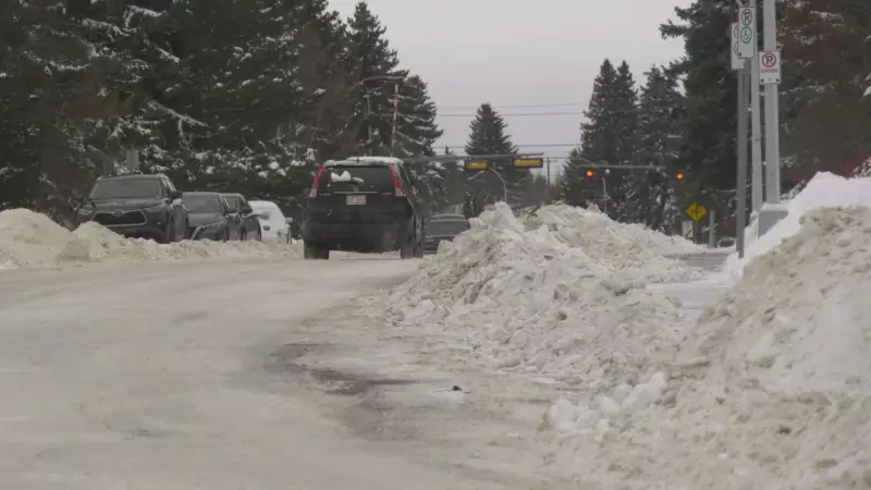 Edmonton Resident Frustrated by Windrow Blocking Property Access After Snowfall
