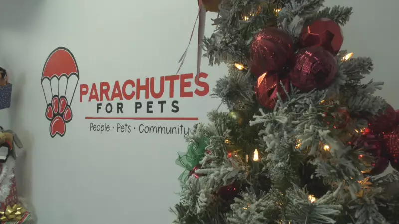 Edmonton's Paws & Claws Holiday Celebration Brings Joy to Pets and Owners