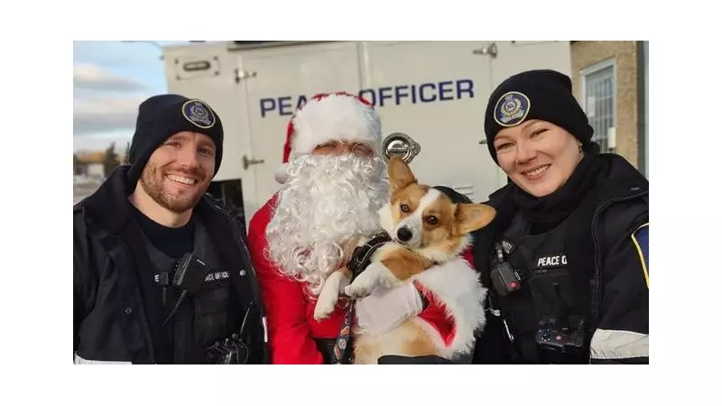 Edmonton's PAWS for a CAUSE Drive Seeks Pet Food Donations This Holiday Season