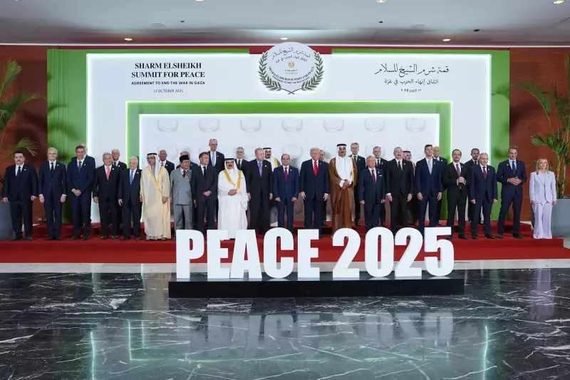 Expert Warns of Major Hurdles for Gaza Ceasefire and Trump Peace Plan