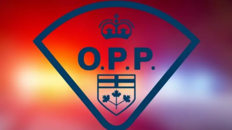 Fatal Highway 401 Crash Claims Life of 19-Year-Old London, Ont. Resident