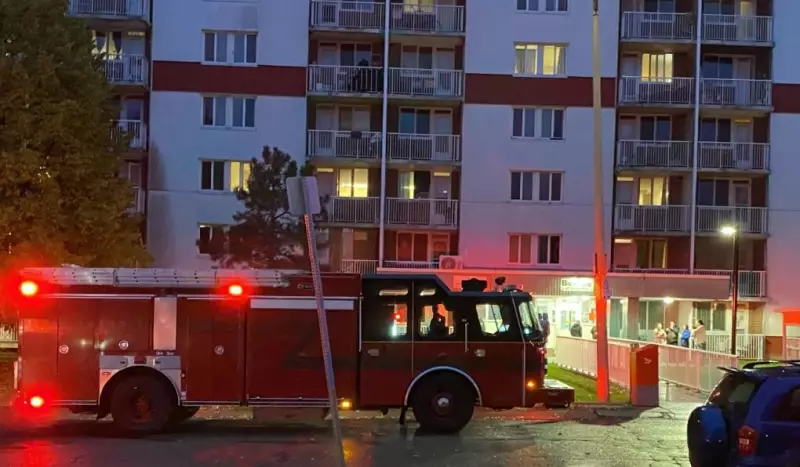 Fire at Sudbury Apartment Complex Displaces Resident, Claims Pet