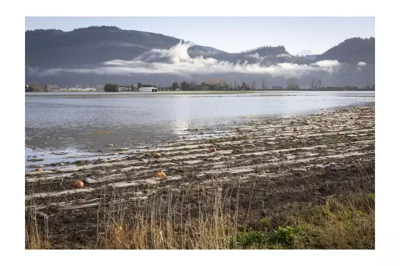 Former Abbotsford Mayor Proposes $1B Pumping Station to Protect Farmland from Nooksack Flooding