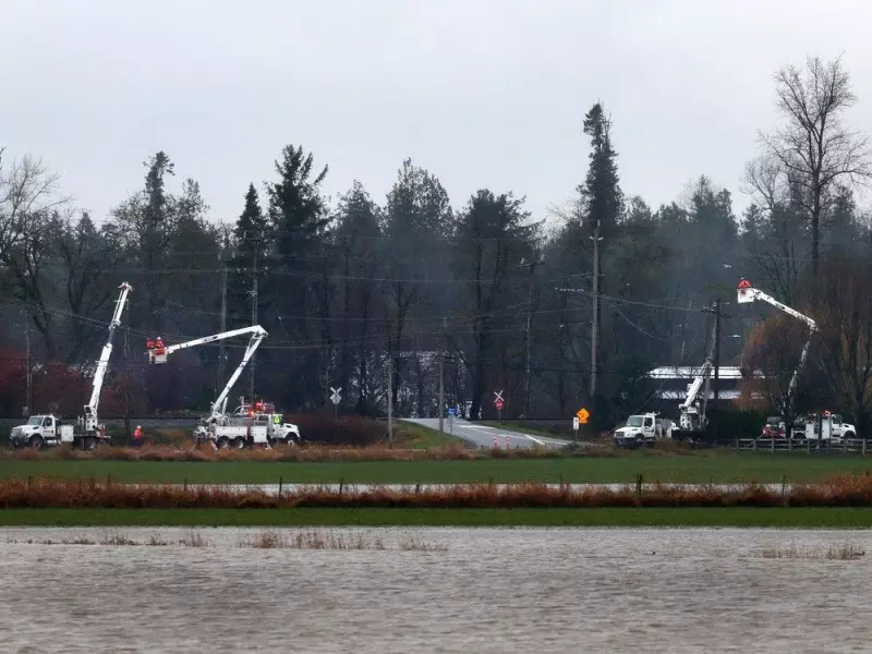Fraser Valley Farmer's Plea: 'We Don't Need to Live This Way' After Floods Threaten Livelihood