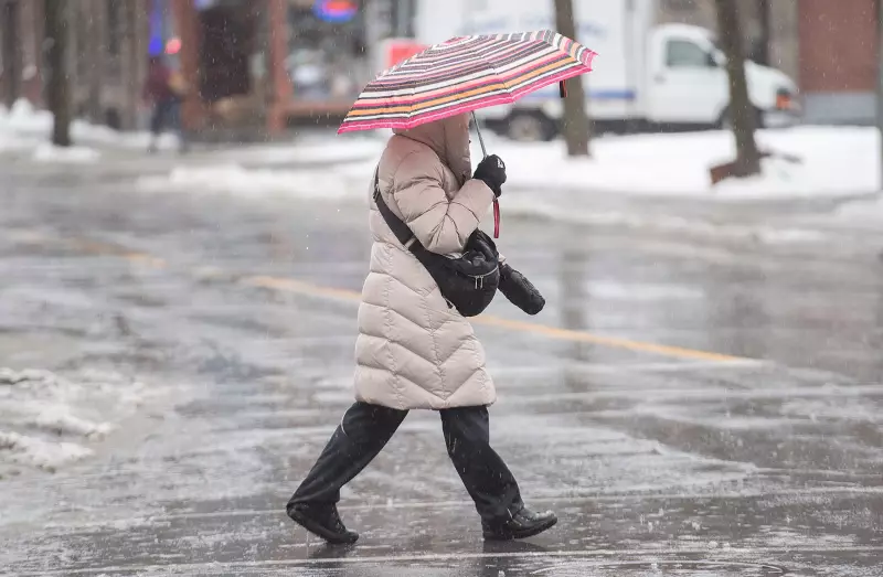 Freezing Rain and Snow Threaten Power Outages Across Multiple Canadian Regions