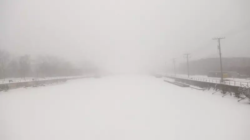 Freezing Rain and Strong Winds Hit Southern Ontario: Environment Canada Alerts