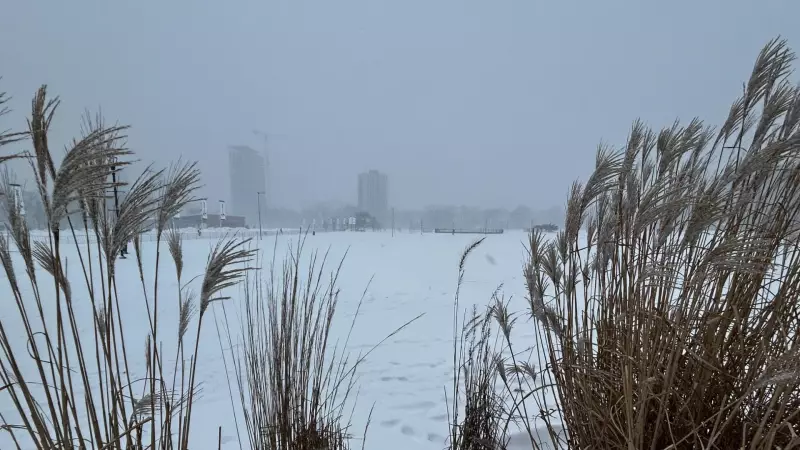 From Prairies to Atlantic: How a Blizzard Transforms into a Major Storm