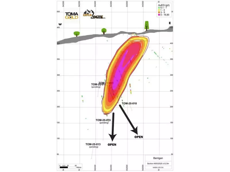 Globex Mining Reports High-Grade Zinc, Silver, Gold in Initial Berrigan Drill Holes