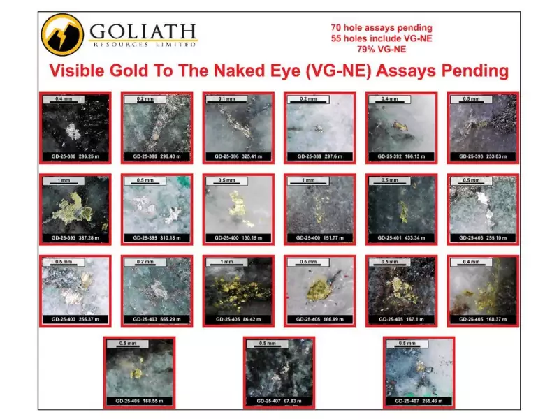 Goliath Reports High-Grade Gold Hits Up To 7.28 g/t Over 8 Meters at BC's Surebet Discovery