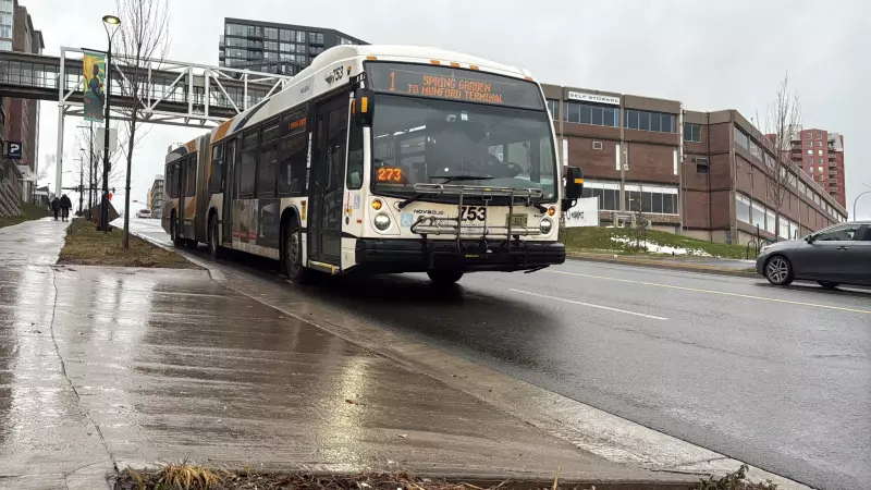 Halifax Transit Warns of Potential Bus Service Disruptions Due to Technical Issues