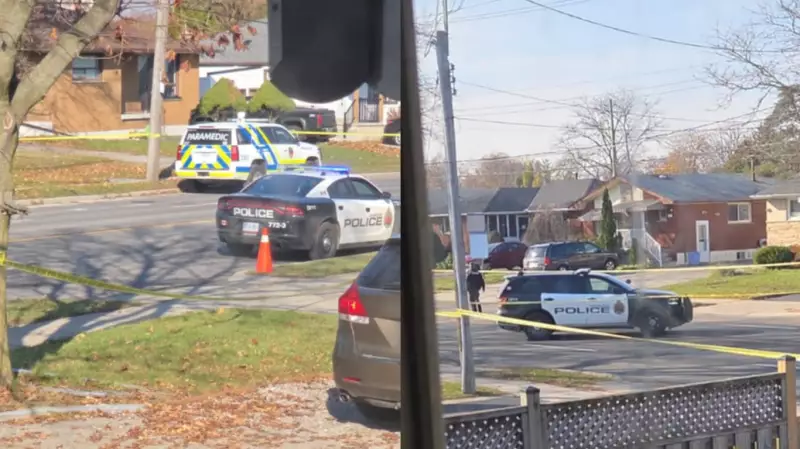 Hamilton senior, 78, fatally struck while walking dog; 80-year-old driver charged