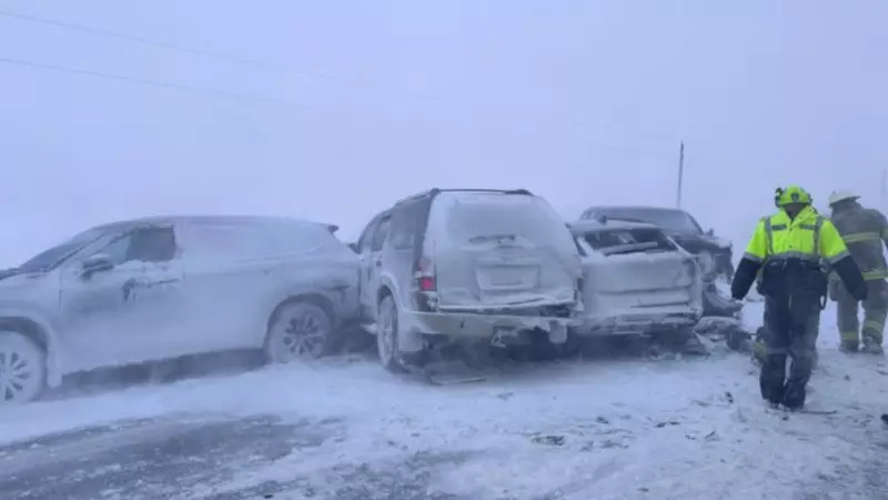 Highway 23 Closed After Multi-Vehicle Collision in Ontario