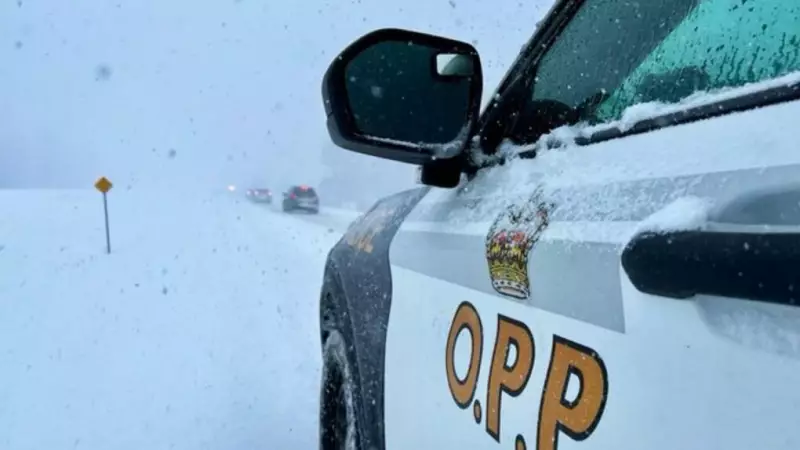 Highway 26 Closed Near Barrie Due to Intense Snow Squalls, Whiteout Conditions