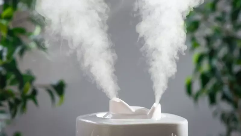 How to Choose the Best Humidifier for 2025: Top Picks & Guide