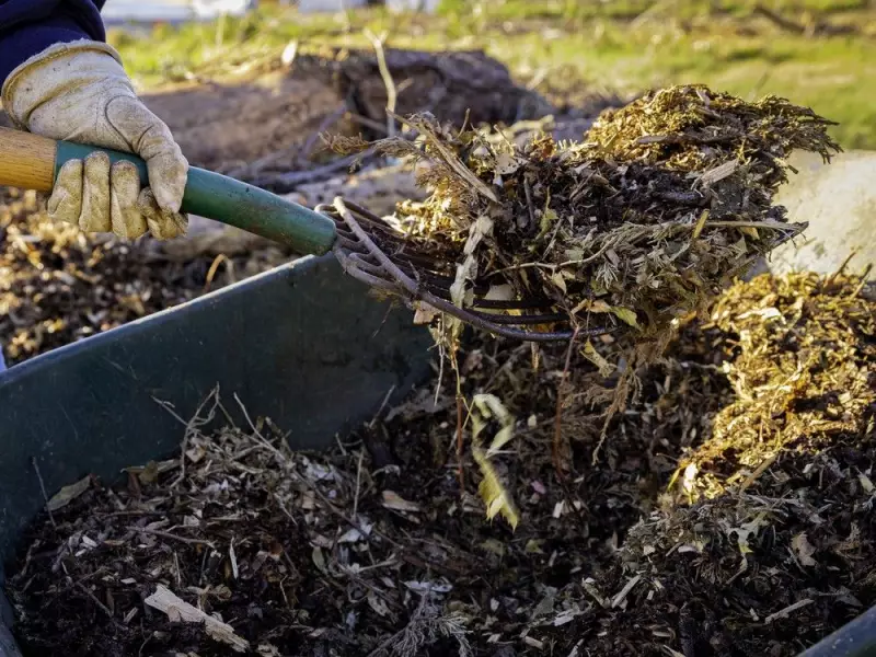 How to Find Reliable Garden Help in Canada: Expert Tips for 2025