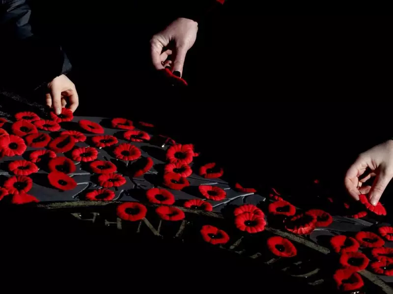 How Your Poppy Donations Fund $1.27M in Veteran Support at University of Alberta