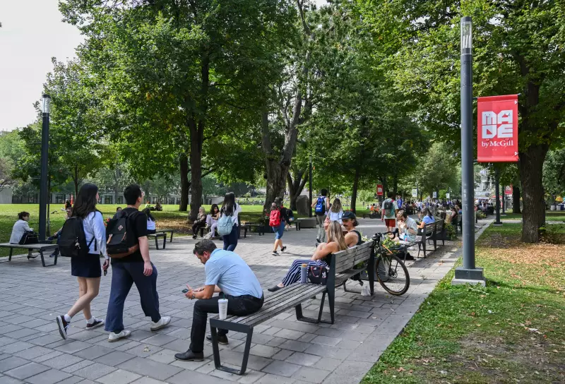 Immigration Expert Urges New Intake System for International Students in Canada