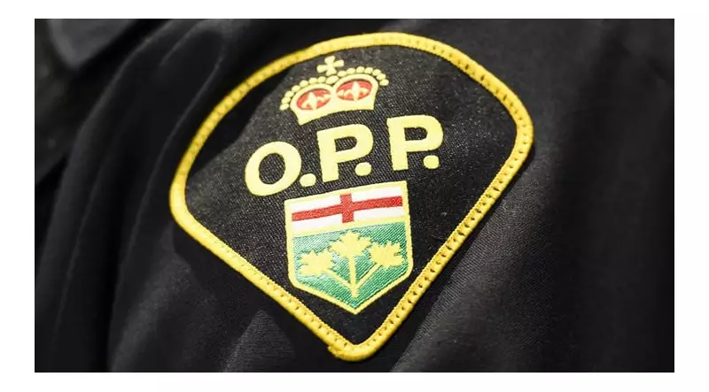 Impaired Driver Charged After Beer Cans Found Near Crashed Truck on Hwy. 17