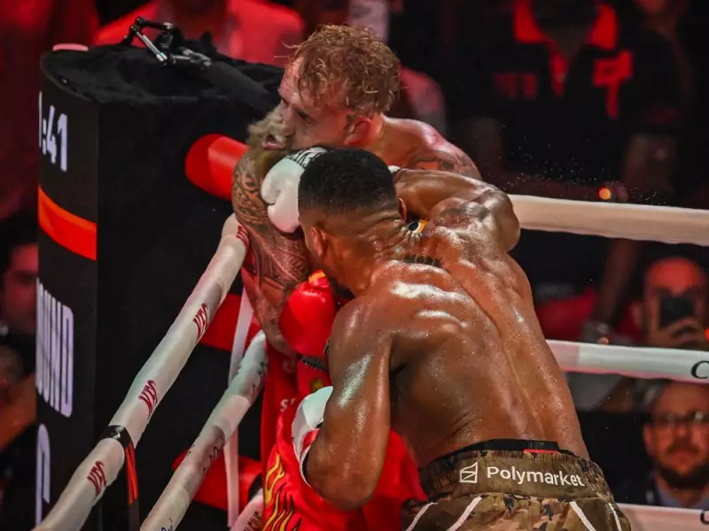 Joe Rogan Warns Jake Paul: Boxing 'Not Worth It' After Shattered Jaw