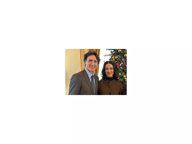 Justin Trudeau and Katy Perry Go Instagram Official with Former Japanese PM