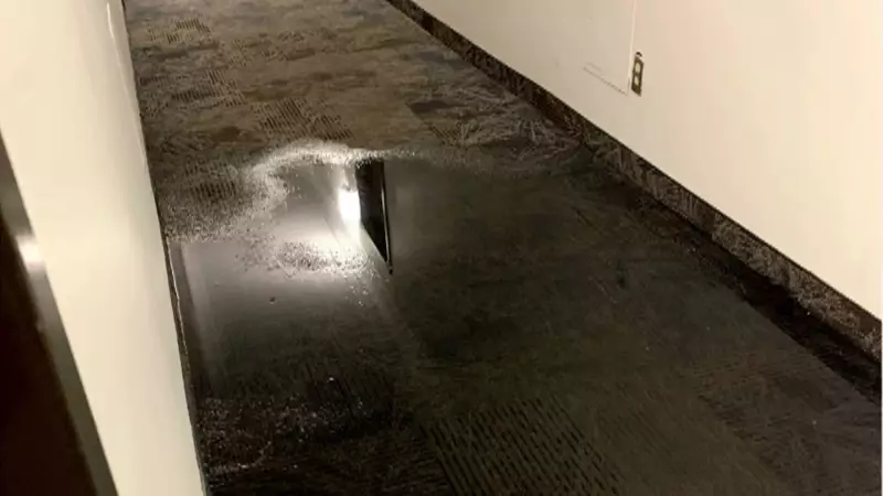 Kitchener Apartment Flooding Leaves Tenant Stranded Without On-Site Help