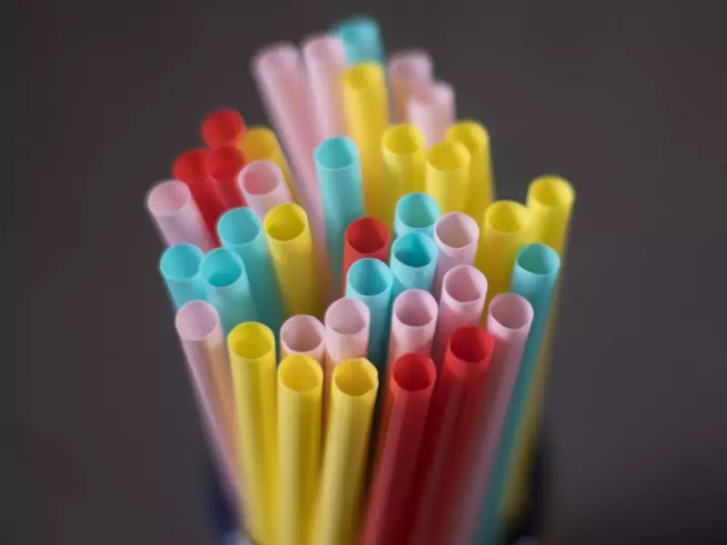 Liberals Admit Plastics Export Ban Is a Costly Mistake for Canada