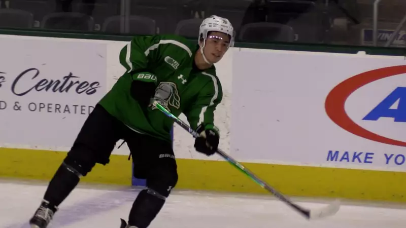 London Knights Boost Offense with Return of William Nicholl and Jesse Nurmi