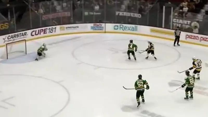 London Knights Fall to Brantford Bulldogs in OHL Clash