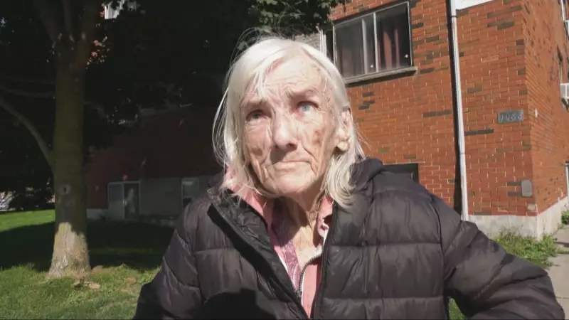 London, Ont. man pleads guilty to random stabbing of elderly woman